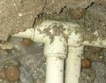 保德测漏水多少钱