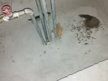 保德卫生间测漏水价格明细