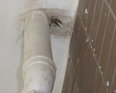 保德漏水检测哪家好